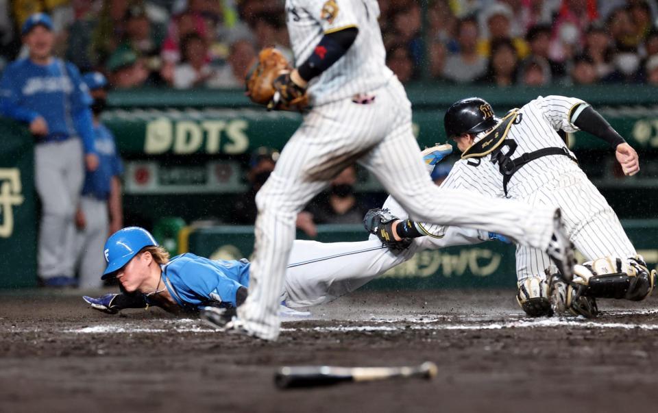９回、スクイズで生還する矢沢（撮影・山口登）