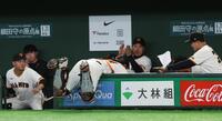 ６回、渡部の捕邪飛でベンチに倒れ込む大城（撮影・佐々木彰尚）