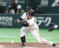 ５回、則本は犠打を決める（撮影・佐々木彰尚）
