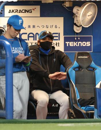 ベンチで戦況を見守る新庄監督（撮影・金田祐二）
