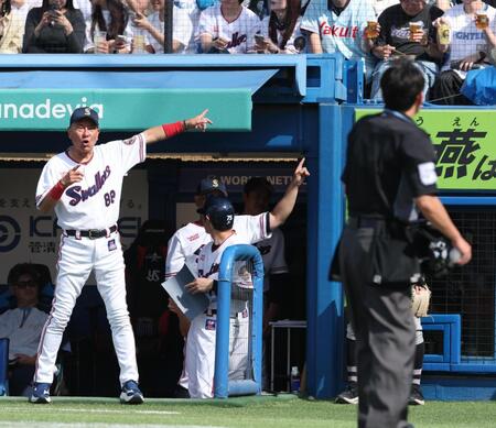 ４回、広沢の暴投で二走・カストロが本塁へ。セーフの判定も池山監督がリクエストを要求。ベンチにボールが入ったため生還が認められず（撮影・金田祐二）