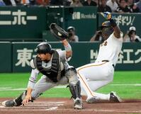 ３回、泉口の一ゴロで三走・ティマが本封。捕手・佐藤