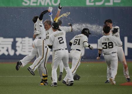 ９回、サヨナラ打を放ち、ナインに手荒い祝福を受ける杉本（左から２人目）＝撮影・金居みつよし