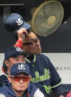 ９回、オリックスに連敗し頭をかく池山監督（撮影・金居みつよし）