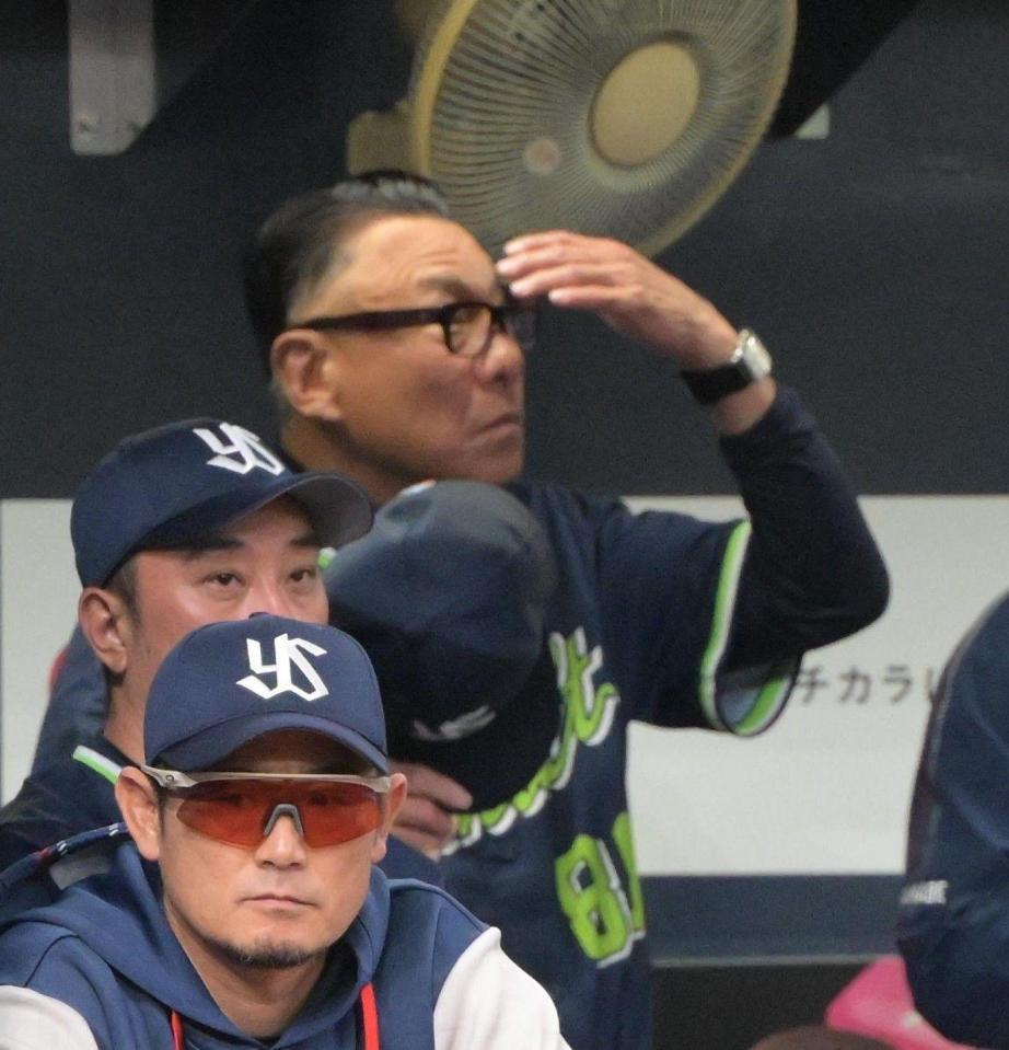 ９回、オリックスに連敗し頭をかく池山監督（撮影・金居みつよし）
