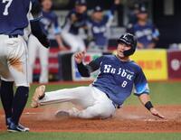 ５回、カナリオの適時打で三走桑原将志に続き二走・渡部も生還、一気に逆転する（撮影・坂部計介）
