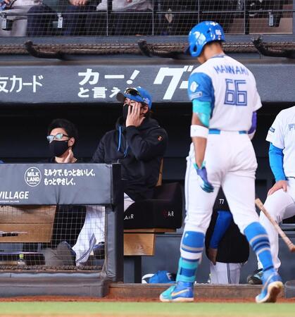 ７回、戦況を見つめる新庄監督（右は空振り三振を喫し、ベンチに下がる万波）＝撮影・中島達哉