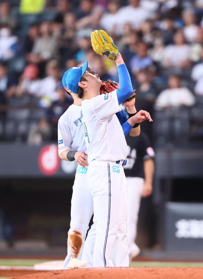 ７回、打球を捕球する加藤貴（撮影・中島達哉）