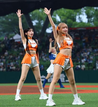 ダンスを披露する統一ライオンズ　チア＝ベルーナドーム（撮影・金田祐二）