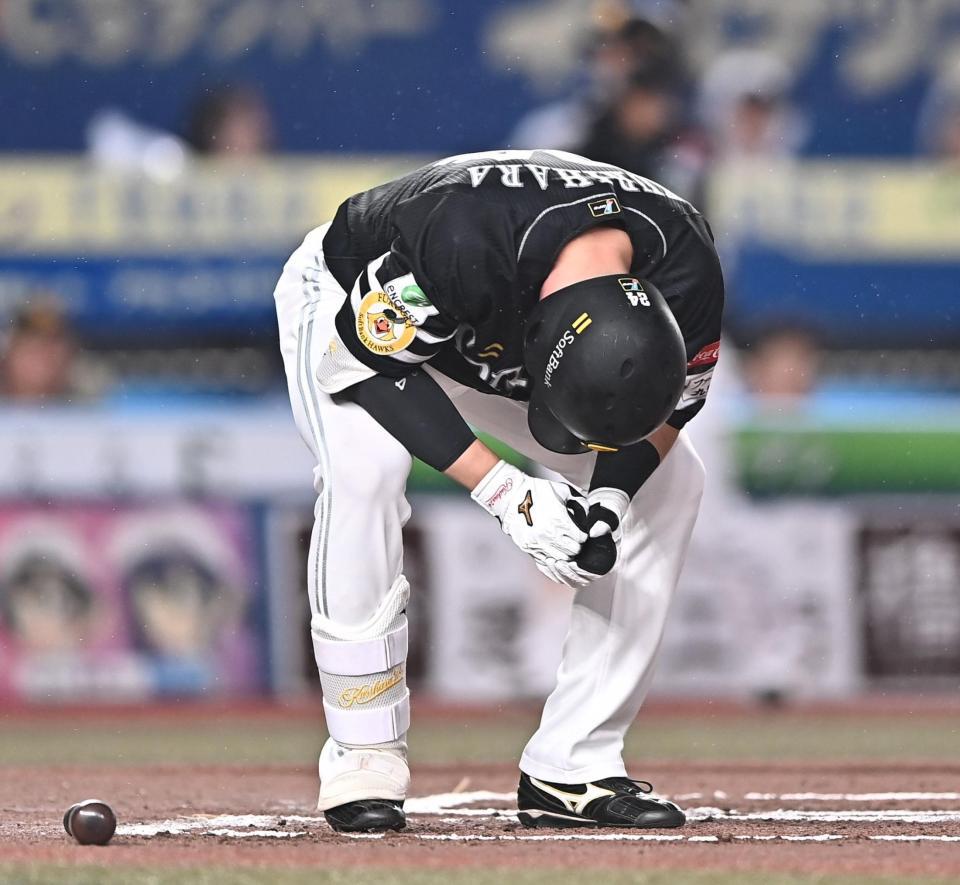 ６回、死球を受け痛みに耐える栗原（撮影・開出牧）