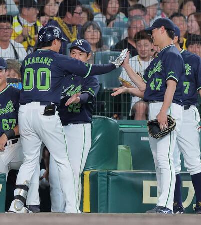 ６回ヤクルト２死、勝ち越しソロを放ったヤクルト・赤羽由紘（左）を迎えるヤクルト・高橋奎二＝甲子園（撮影・西田忠信）