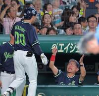 ６回、勝ち越しソロを放った赤羽（左）を迎える池山監督（撮影・西田忠信）