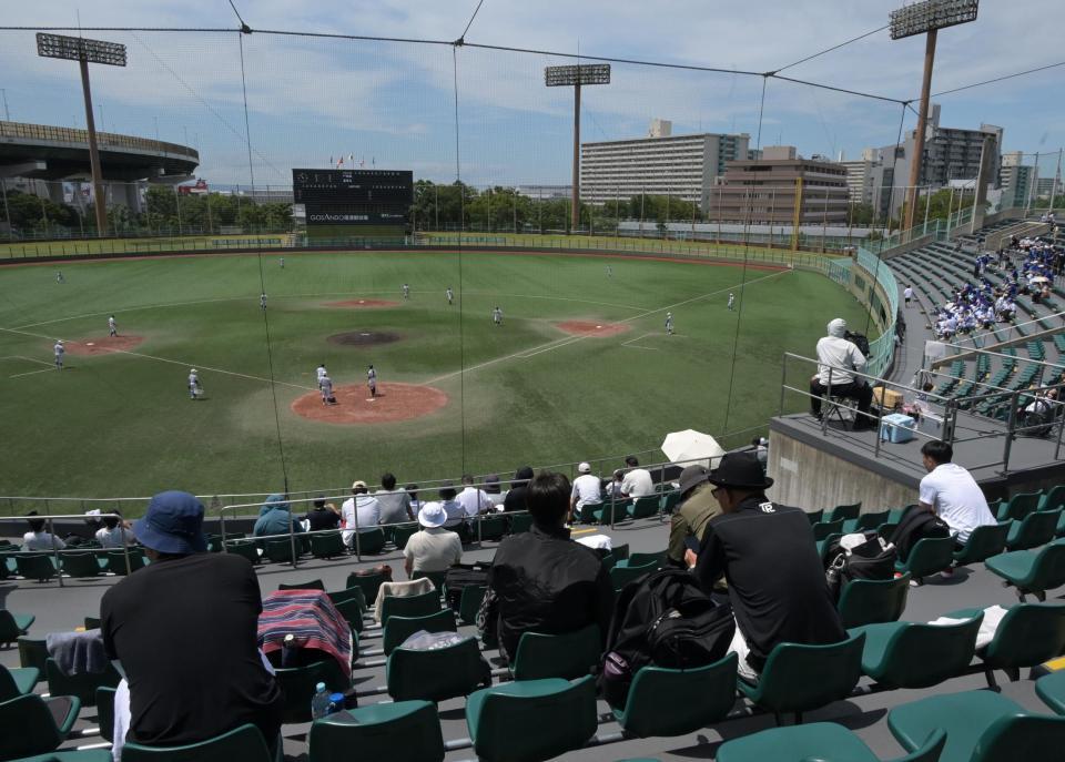 ネット裏で観戦するプロ野球スカウトら（撮影・金居みつよし）
