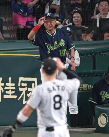 ６回、セデーニョに代走を送る池山監督（撮影・飯室逸平）