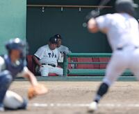 ４回、戦況を見つめる大阪桐蔭・西谷浩一監督（撮影・中田匡峻）
