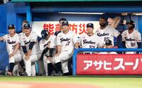 ９回、硬い表情で試合を見守るヤクルトナイン