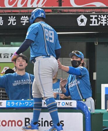 ６回、万波の本塁打で生還した日本ハム　レイエスを迎える新庄監督（撮影・持木克友）