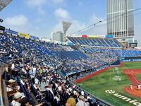 試合開始前でバックネット裏には多くのファンが