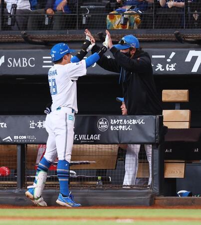 ７回、同点犠飛を放った奈良間（左）をハイタッチで迎える新庄監督（撮影・中島達哉）