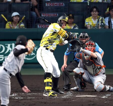 ３回、死球を受ける佐藤輝（撮影・山口登）