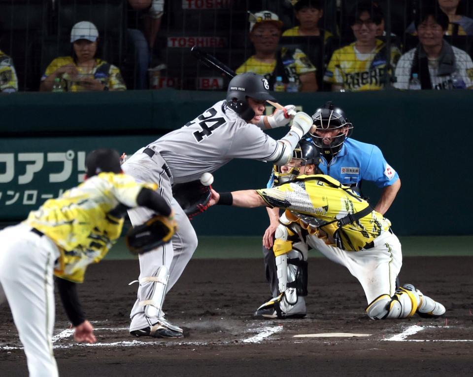 ７回、死球を受ける大城（投手・及川、捕手・伏見）＝撮影・山口登