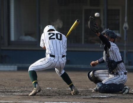 １１回、サヨナラ押し出し死球を受ける箕面学園・二見陽琉（撮影・中田匡峻）