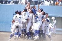 甲子園出場を決め、喜ぶ履正社ナイン