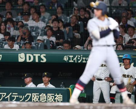 ８回、ベンチから戦況を見つめる札幌日大・安井壱之心＝甲子園（撮影・中田匡峻）