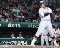 ８回、ベンチから戦況を見つめる札幌日大・安井壱之心＝甲子園（撮影・中田匡峻）
