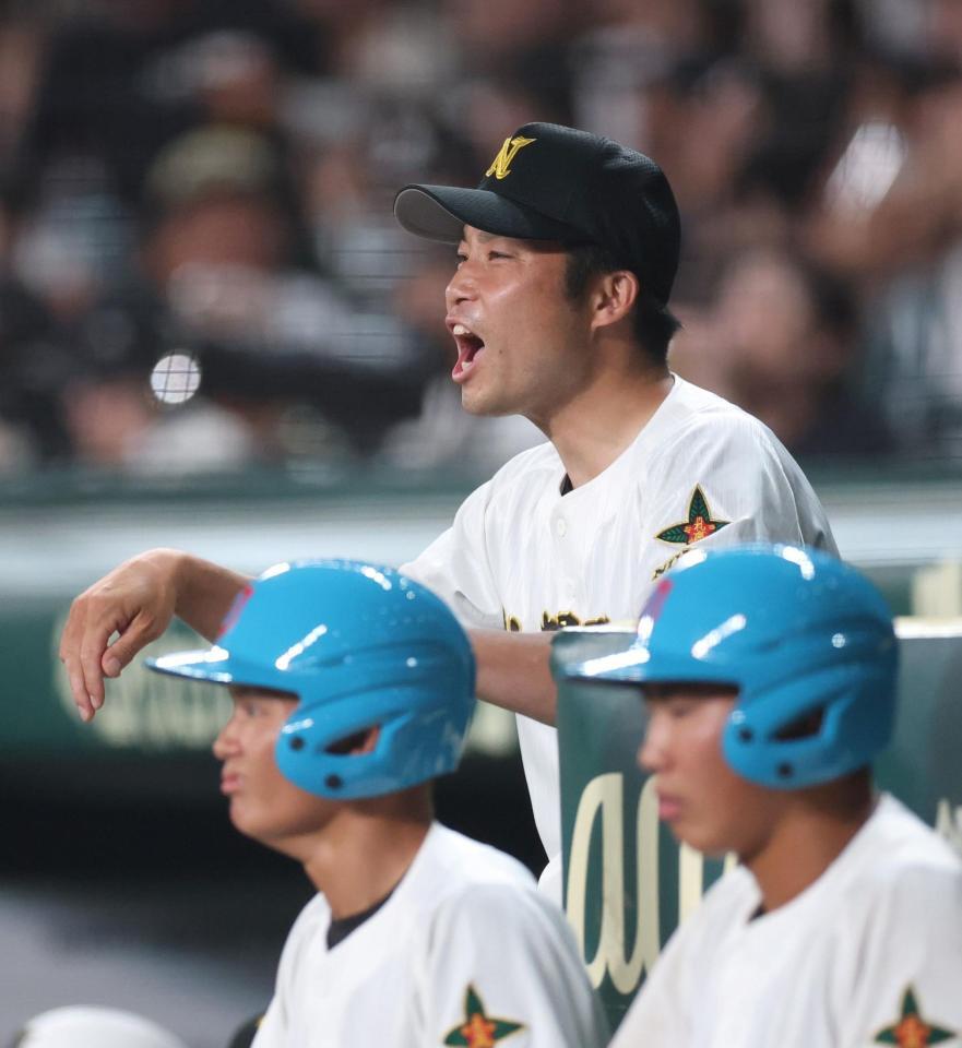 ８回、ベンチから指示を出す札幌日大・森本琢朗監督（撮影・中田匡峻）