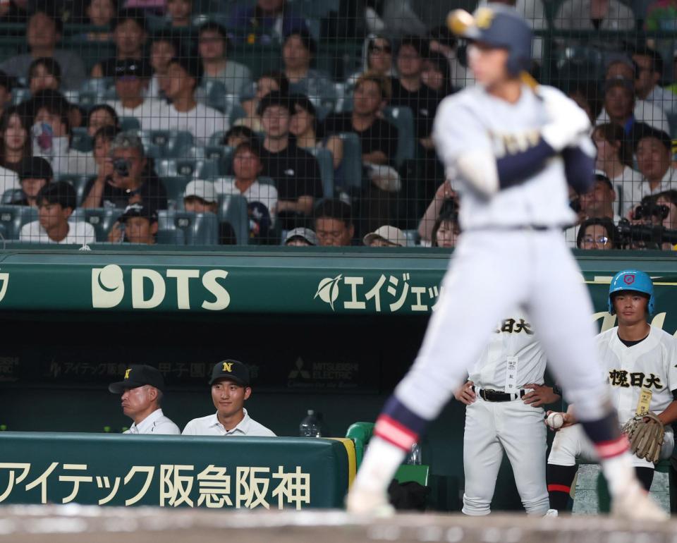 ８回、ベンチから戦況を見つめる札幌日大・安井壱之心＝甲子園（撮影・中田匡峻）