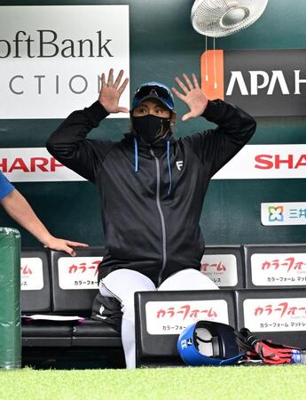 ２回、戦況を見守る新庄監督
