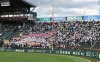 声援を送る有明応援団（撮影・高部洋祐）