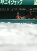 試合が雨で中断となり、シートで覆われたグラウンドを見る仙台育英・星よつはマネージャー（撮影・坂部計介）