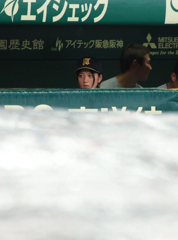試合が雨で中断となり、シートで覆われたグラウンドを見る仙台育英・星よつはマネージャー（撮影・坂部計介）