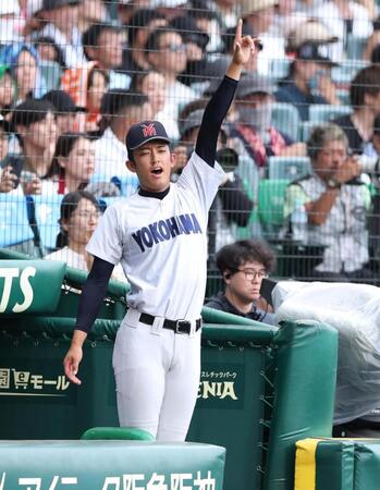 １回、ベンチから声を出す横浜・織田翔希（撮影・中田匡峻）