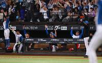 ７回、水野が逆転満塁本塁打を放ち、沸き上がる新庄監督（右）ら日本ハムナイン（撮影・中島達哉）