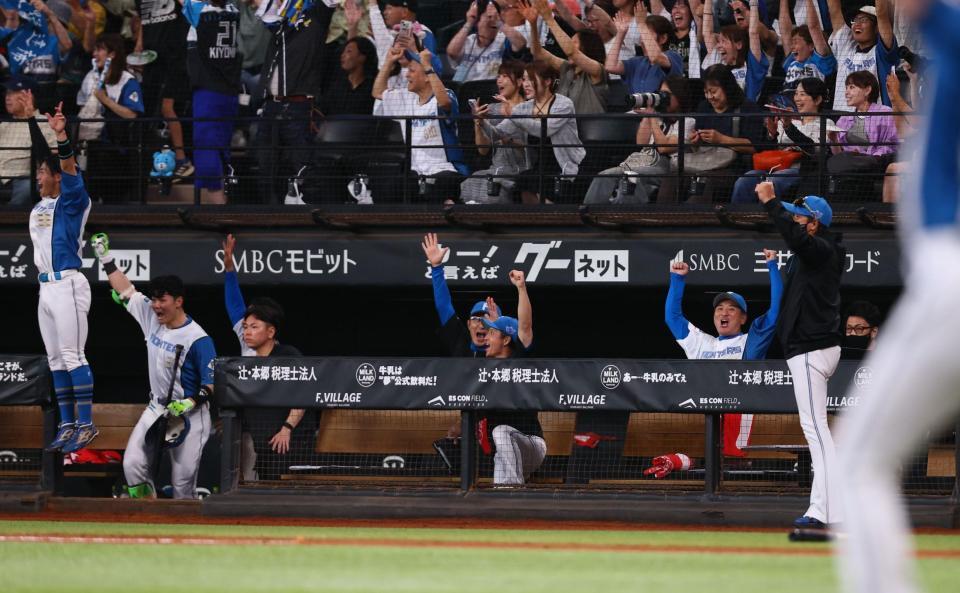 ７回、水野が逆転満塁本塁打を放ち、沸き上がる新庄監督（右）ら日本ハムナイン（撮影・中島達哉）
