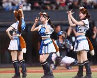 ファイターズガールの衣装を着用してきつねダンスを踊るＡＫＢ４８のメンバー（中央）＝エスコンフィールド北海道（撮影・中島達哉）