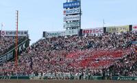 優勝を決めた智弁和歌山ナインに大歓声を送る応援団＝甲子園（撮影・中田匡峻）