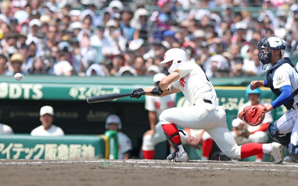 ８回、犠打を決める智弁和歌山・松本虎太郎（撮影・中田匡峻）