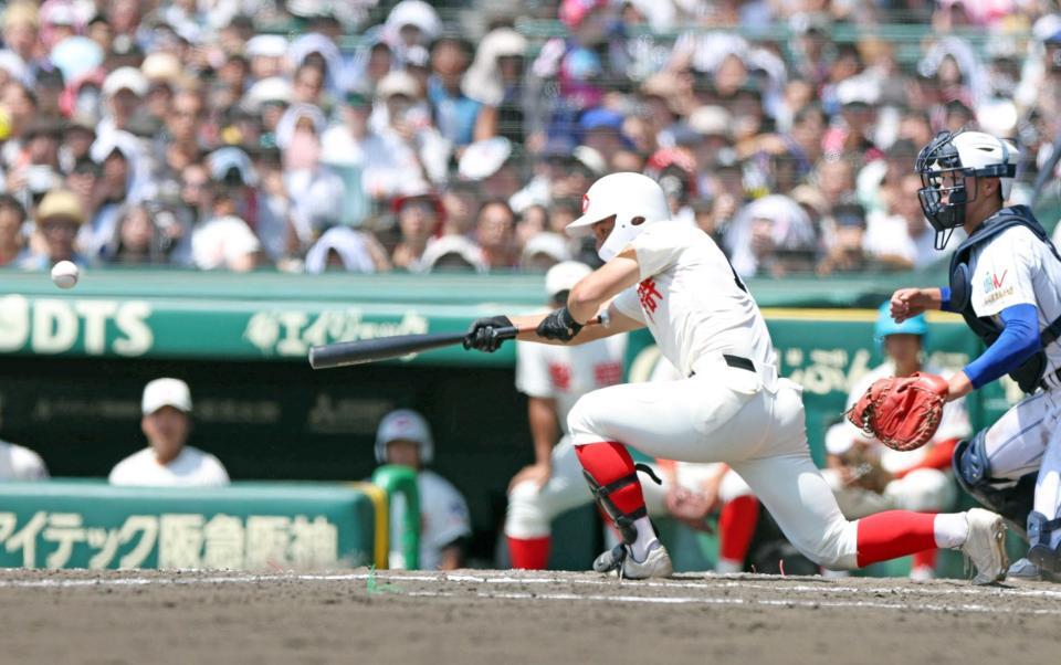 　８回、犠打を決める代打松本（撮影・中田匡峻）　