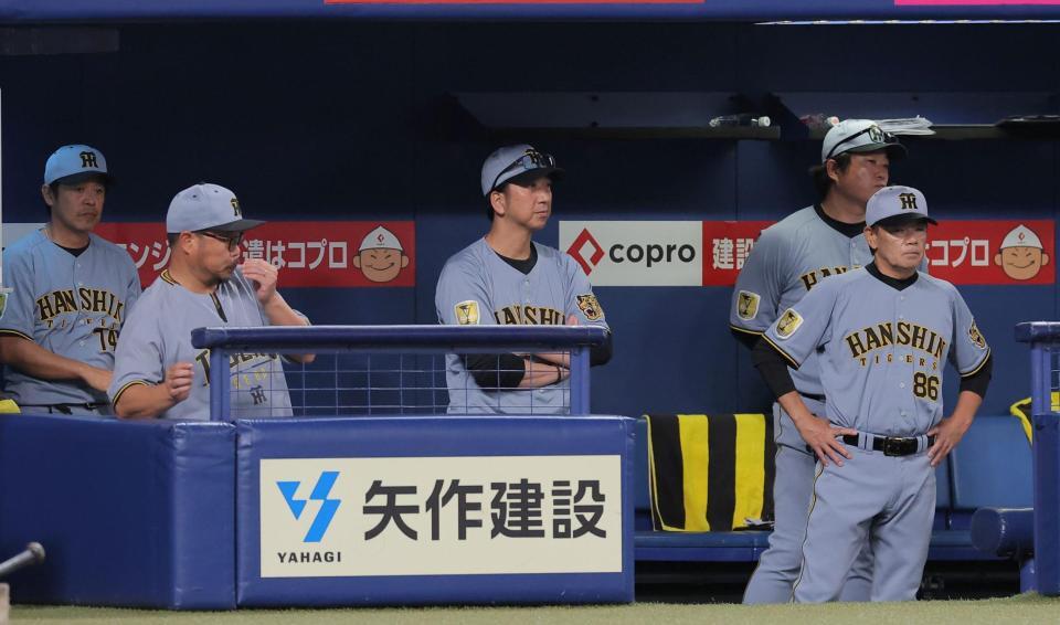 中日に連敗し、グラウンドを見つめる藤川監督（中央）ら首脳陣（撮影・西田忠信）