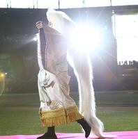 『連獅子』を演じる片岡愛之助（撮影・中島達哉）