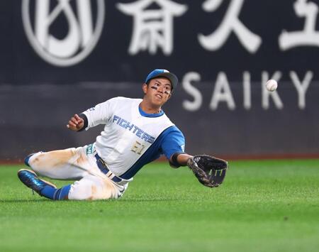 ６回、山口の打球を好捕する今川（撮影・中島達哉）