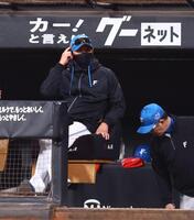 １１回、戦況を見つめる新庄監督（撮影・中島達哉）