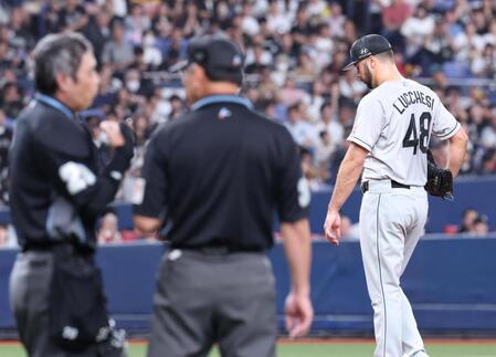 話す白井審判（左）と真鍋審判を待つルケーシー（撮影・中田匡峻）