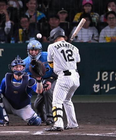 ５回、死球を受ける坂本（撮影・飯室逸平）