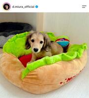三浦大輔氏のインスタグラム（ｄ．ｍｉｕｒａ＿ｏｆｆｉｃｉａｌ）より