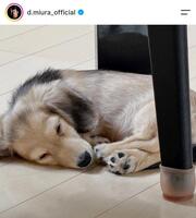 三浦大輔氏のインスタグラム（ｄ．ｍｉｕｒａ＿ｏｆｆｉｃｉａｌ）より
